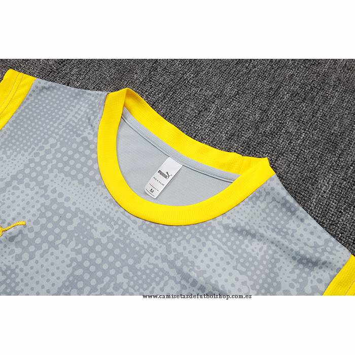 Camiseta de Entrenamiento Borussia Dortmund 25-26 Sin Mangas Gris